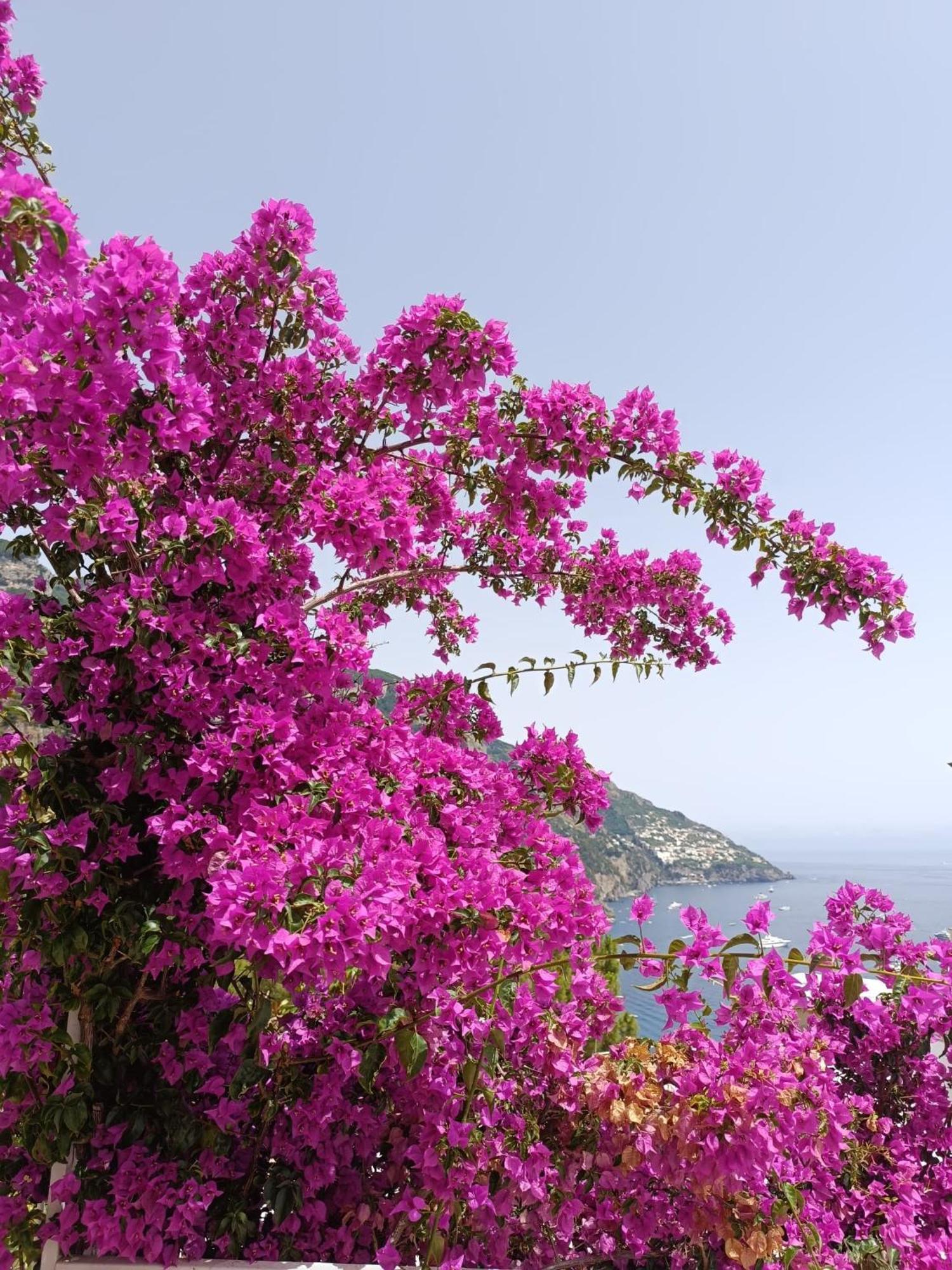 In Blue - La Terrazza Di Villa Positano